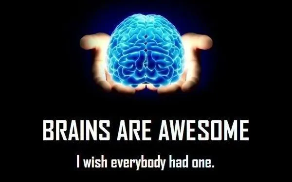 Brains are awesome