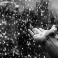11月1日 雨