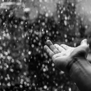 11月1日 雨