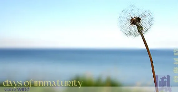 Days of Immaturity - 10th layout: Wind