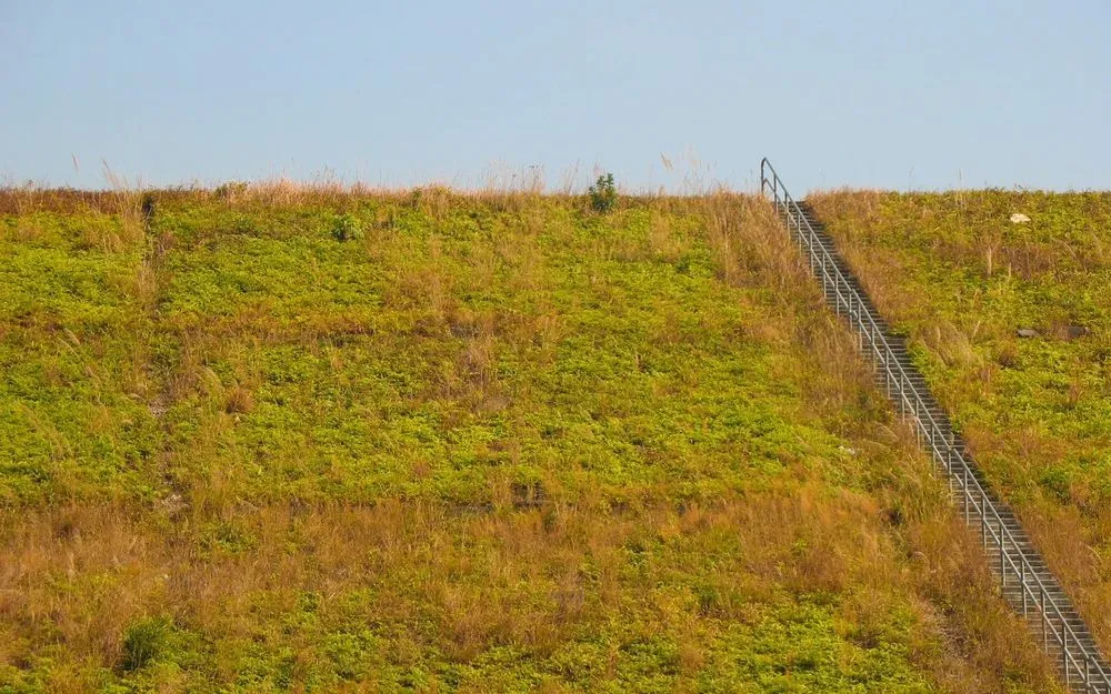 城門水塘入口 - 大草地