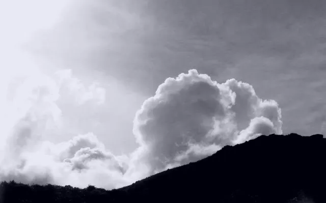 褪色的夏日陽光