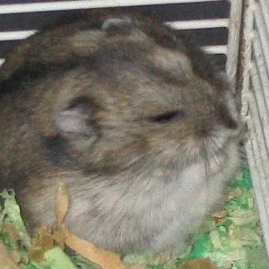 總會在我身旁