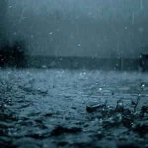 暴雨的回憶
