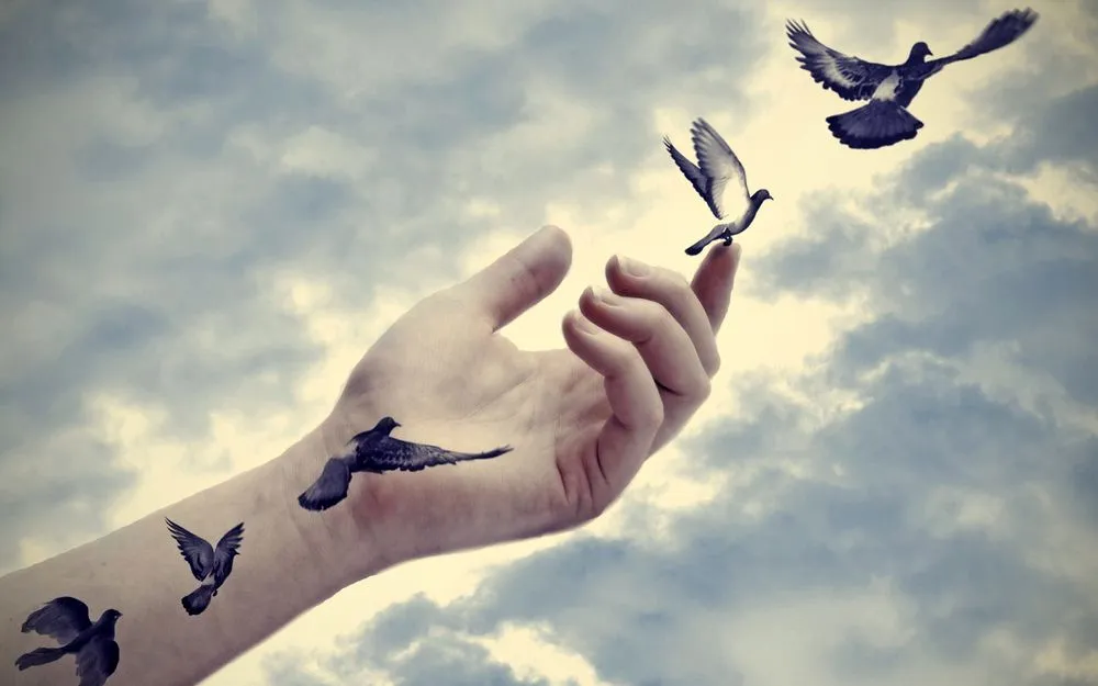 放手 如鳥般