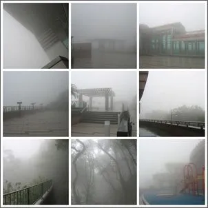 太平山大霧一片