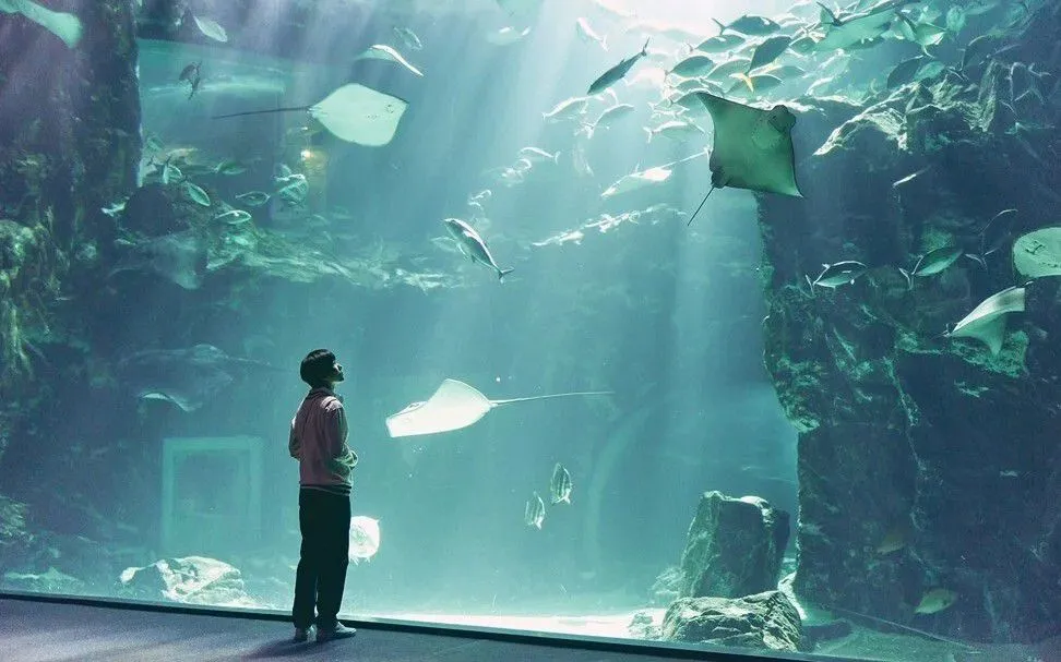 遺物整理師 可魯 水族館