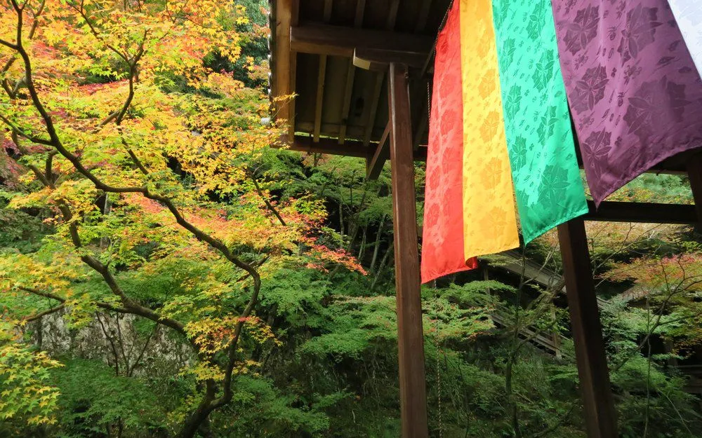 賞楓名所 - 永觀堂