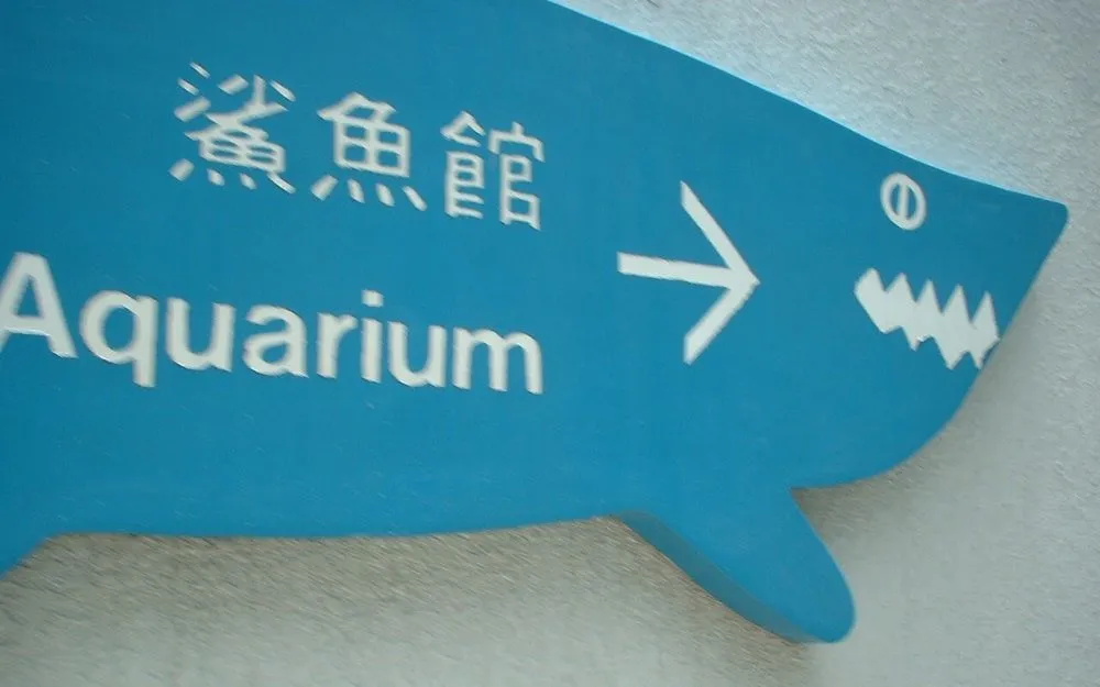 海洋公園遊2002 - 鯊魚館