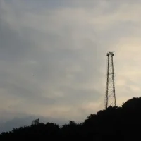 今年不登高