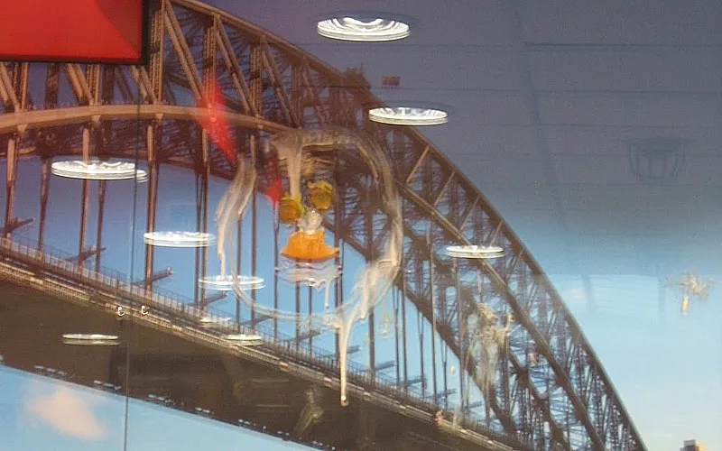 悉尼麥當勞內 食物塗鴉