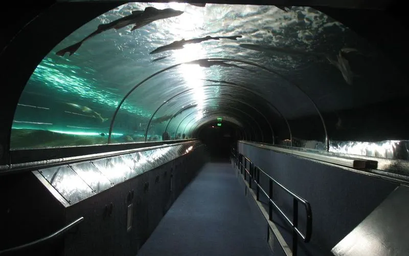 悉尼水族館