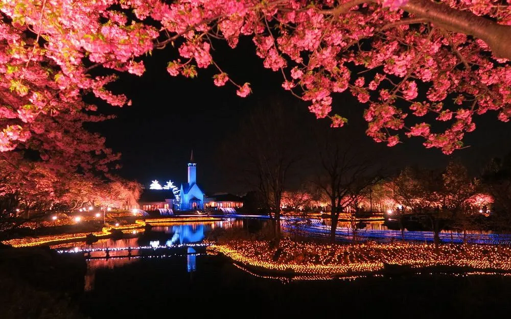 名古屋 - 名花之里