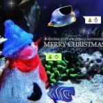 Merry Christmas 2017